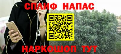 хмурый Камышлов