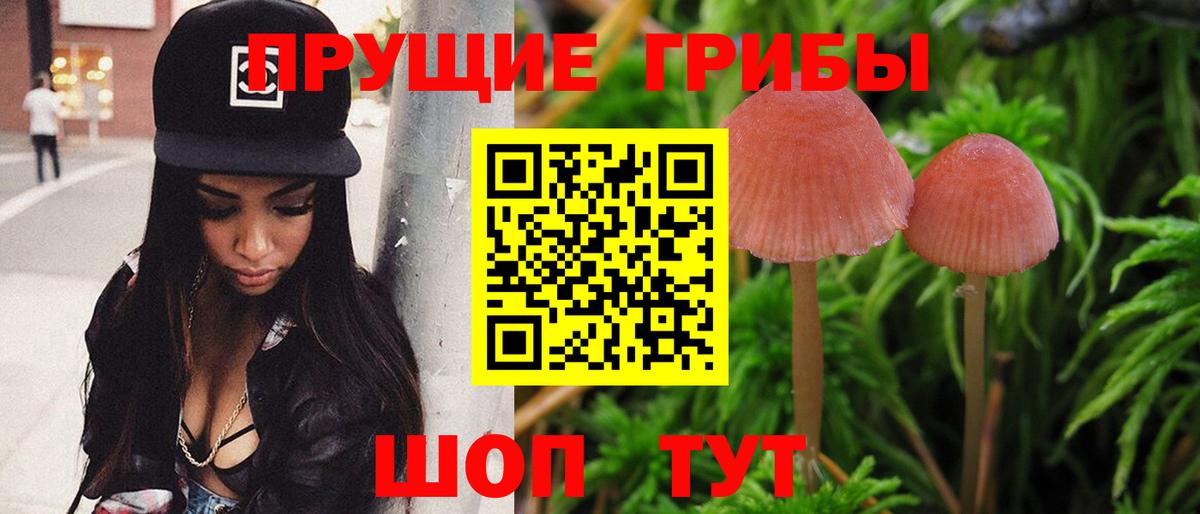 Бирск  наркотики  Вход с VPN  Псилоцибиновые грибы Magic Shrooms 